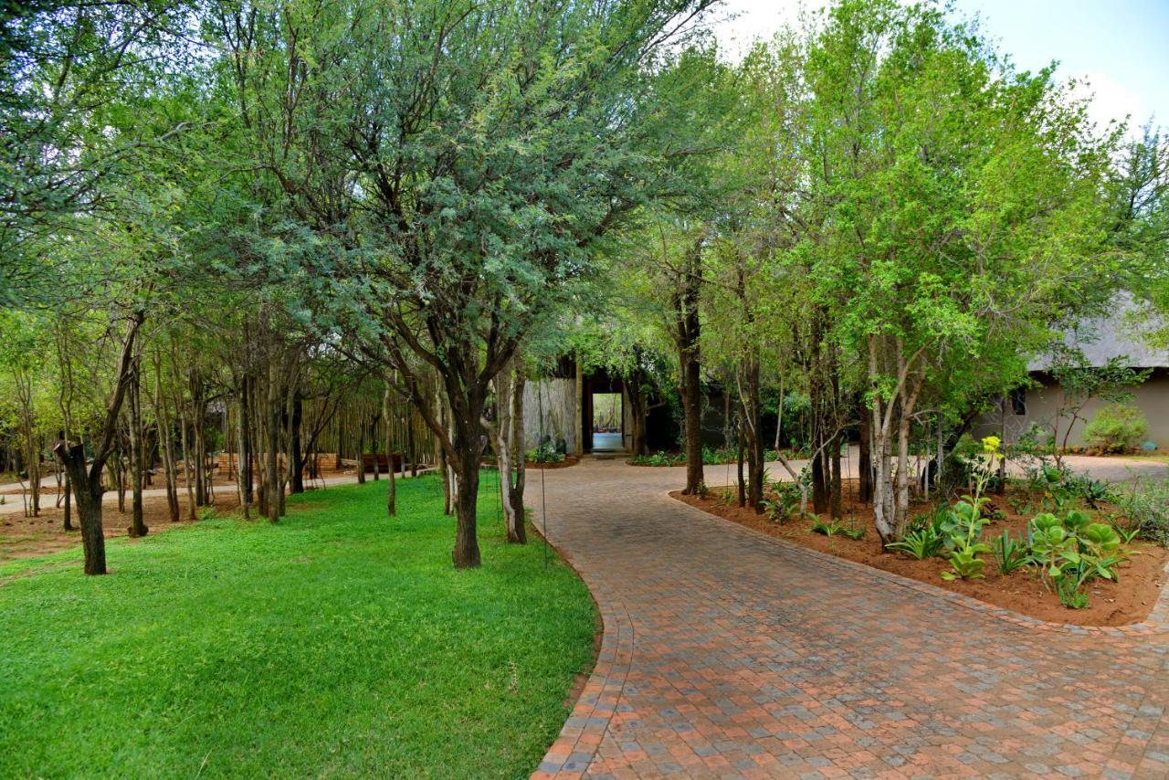 Tambuti Lodge Pilanesberg Luaran gambar